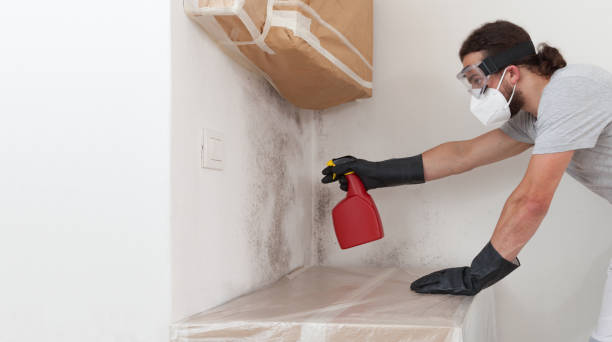 Professional Mold Inspection And Testing technician working in Walloon Lake, MI
